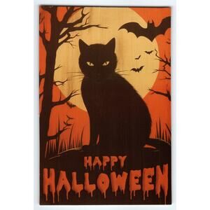 Vintage Halloween Photochrome Postcard Black Cat & Bats Full Moon